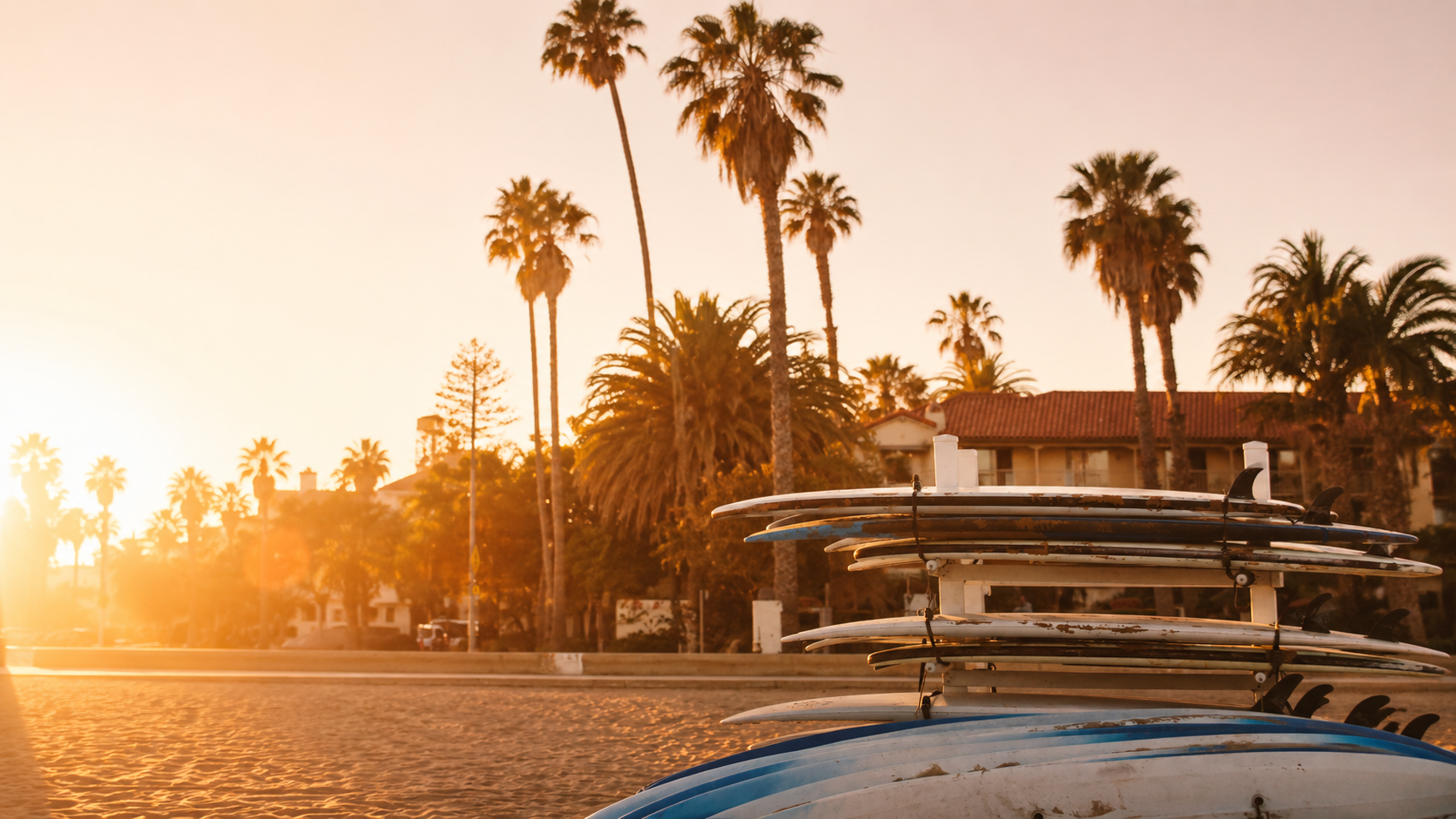A California coast sunset with palm trees and surfboards